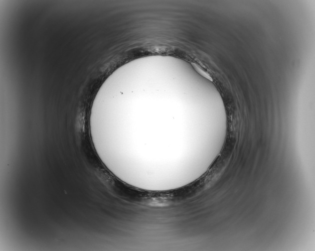 X0000087640368200705311331