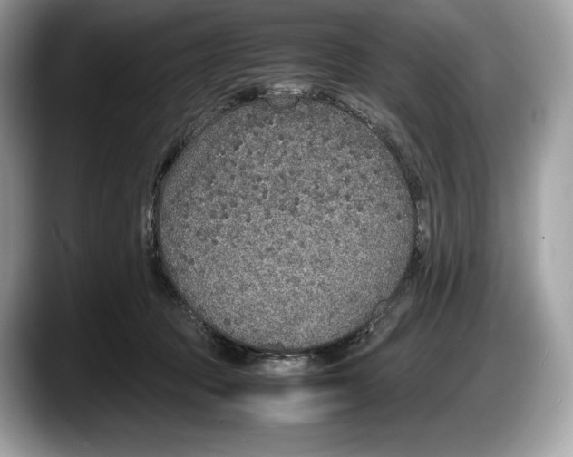 X0000087640369200705311331