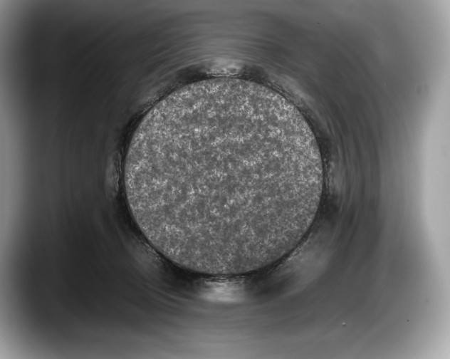 X0000087640370200705311331