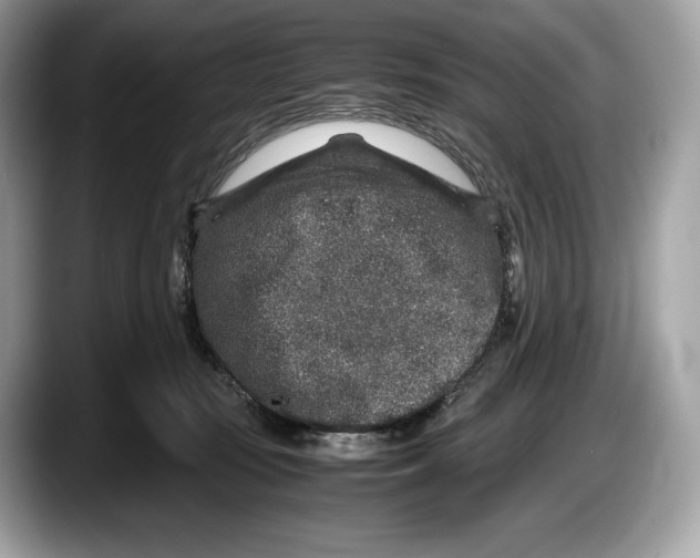 X0000087640371200705311331