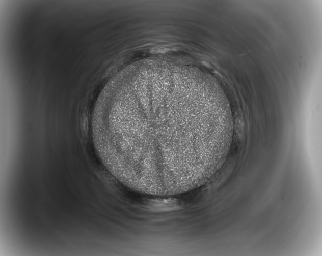 X0000087640375200705311331