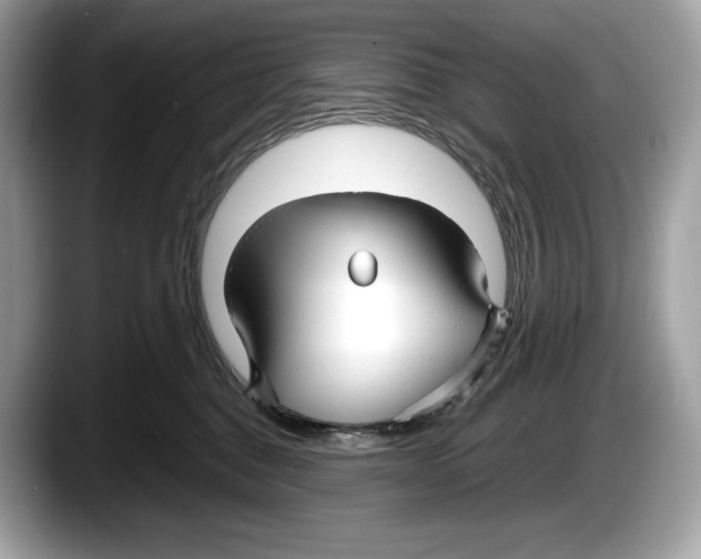 X0000087640376200705311331