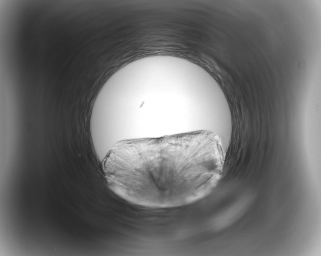 X0000087640377200705311331