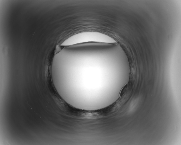 X0000087640379200705311331