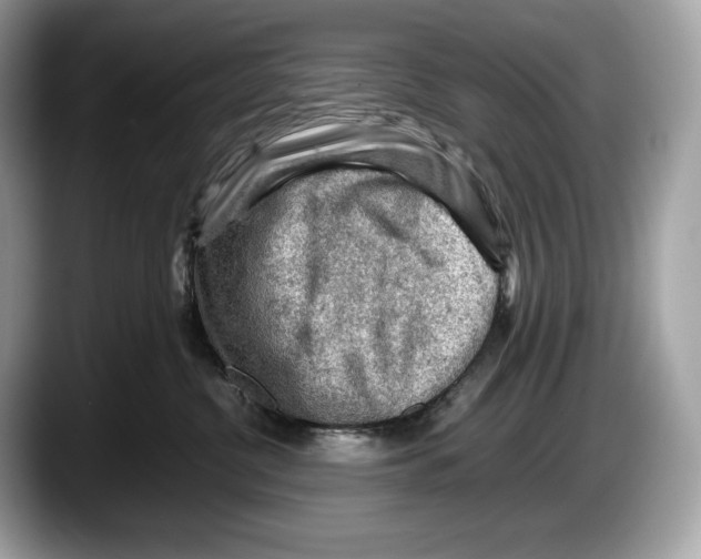 X0000087640380200705311331