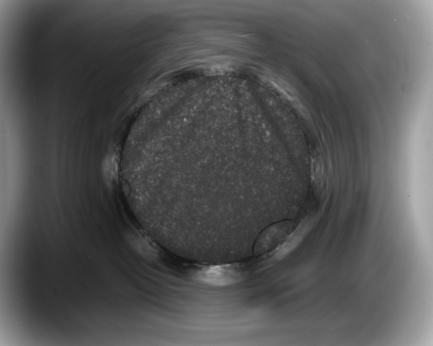 X0000087640382200705311331