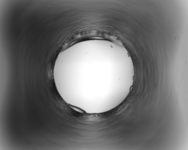 X0000087640384200705311331