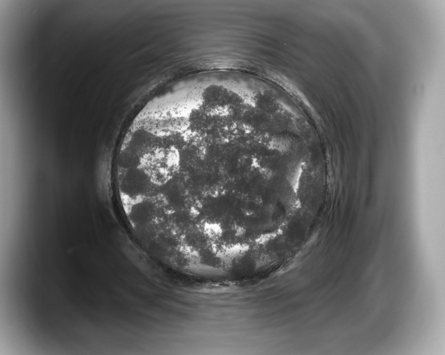 X0000087640386200705311330