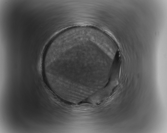 X0000087640387200705311330