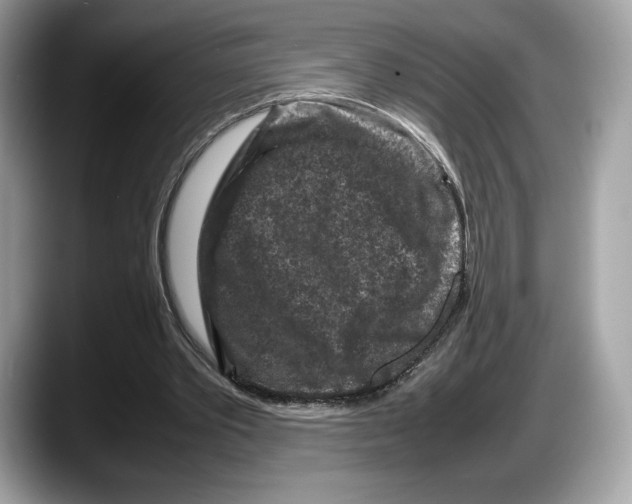 X0000087640389200705311330