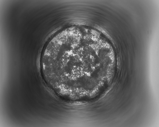 X0000087640390200705311330