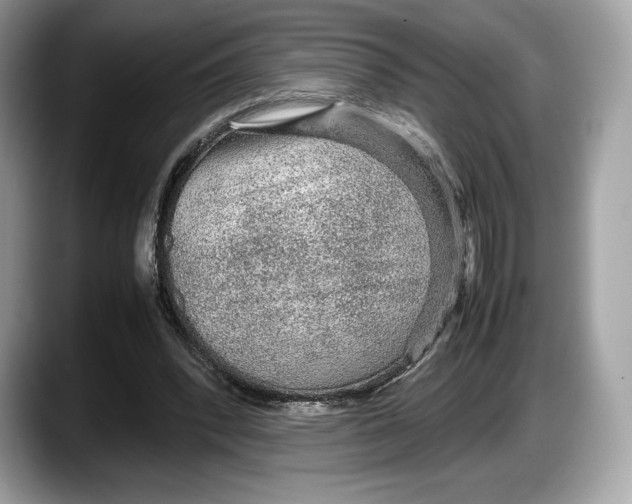 X0000087640392200705311330