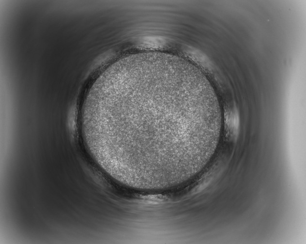 X0000087640396200705311330