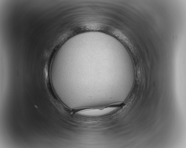 X0000087640398200705311330