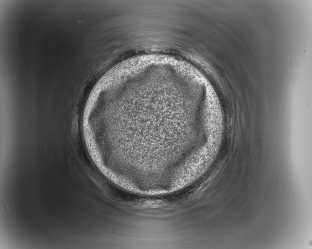 X0000087640401200705311330