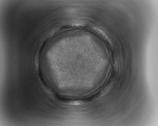 X0000087640402200705311330