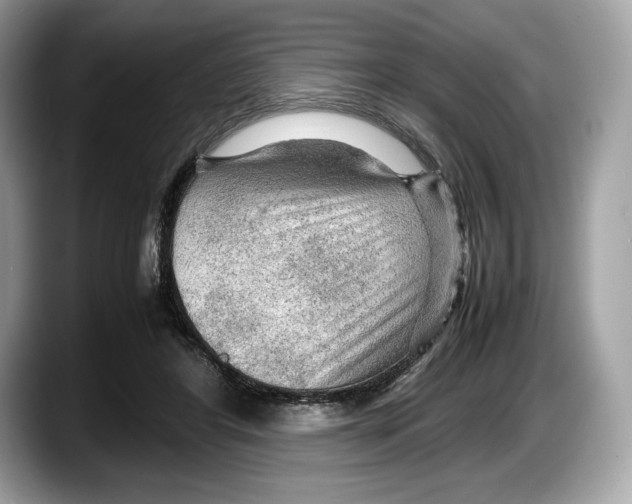 X0000087640404200705311330