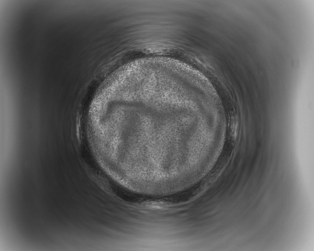 X0000087640408200705311330