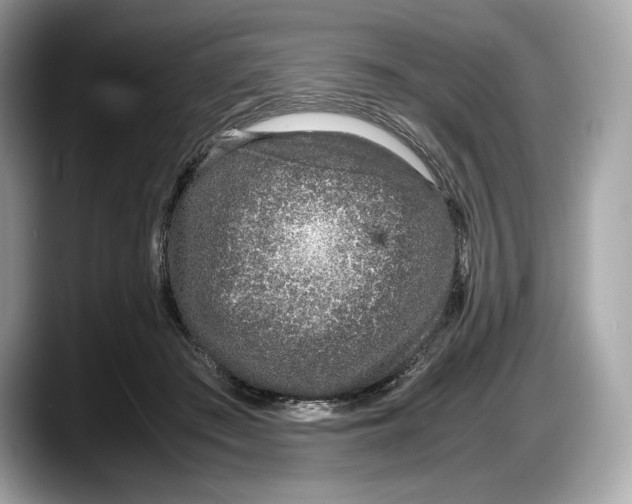 X0000087640409200705311330