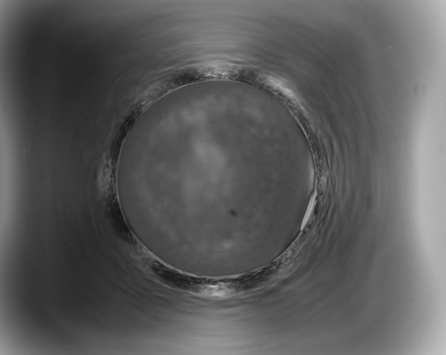 X0000087640411200705311330