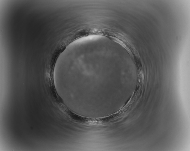 X0000087640415200705311330