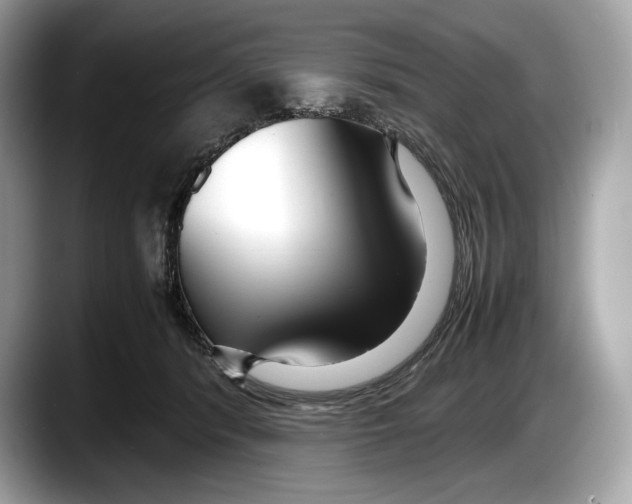 X0000087640416200705311330