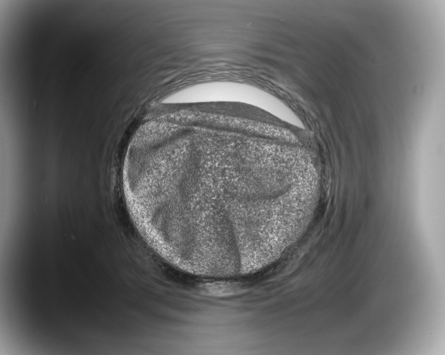 X0000087640417200705311330