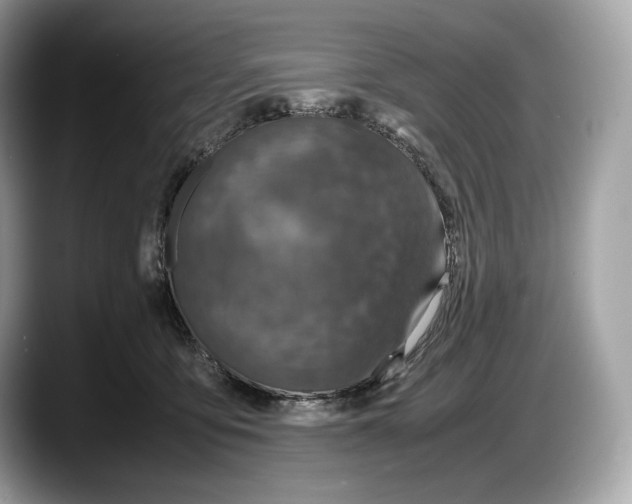 X0000087640419200705311330