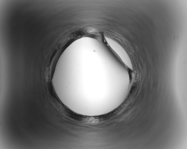 X0000087640421200705311330