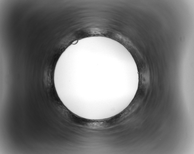 X0000087640422200705311330