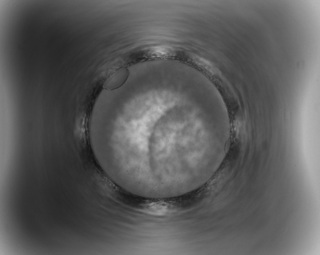 X0000087640423200705311330