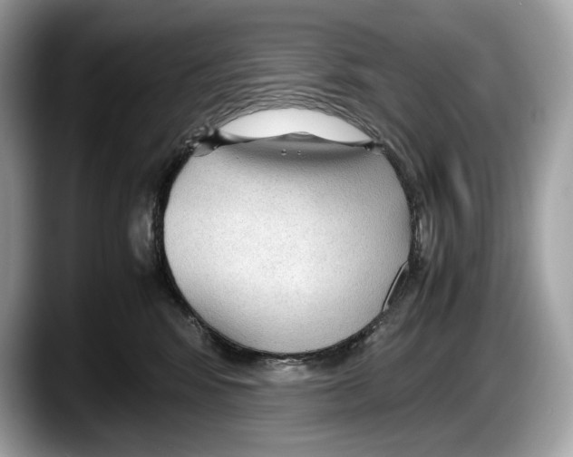 X0000087640424200705311330