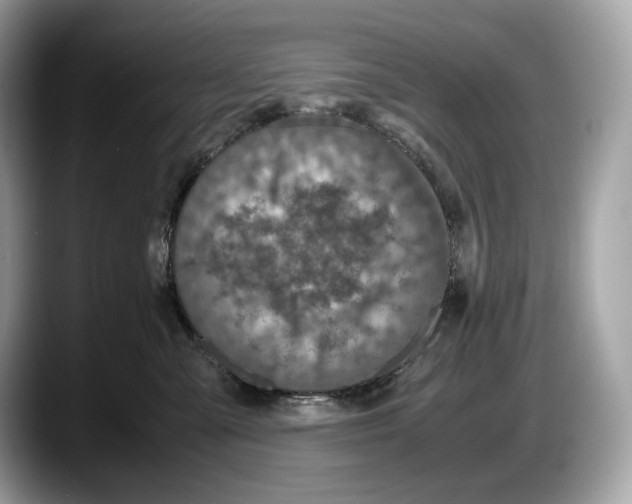 X0000087640427200705311330