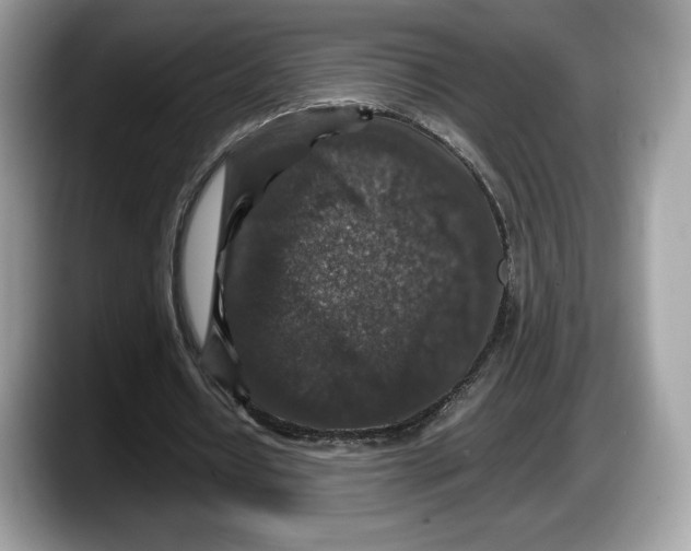 X0000087640434200705311329