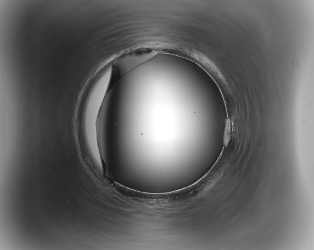 X0000087640436200705311329