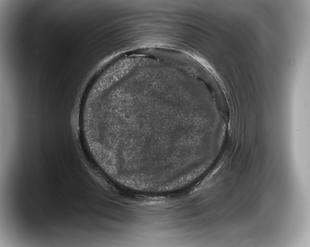 X0000087640438200705311329