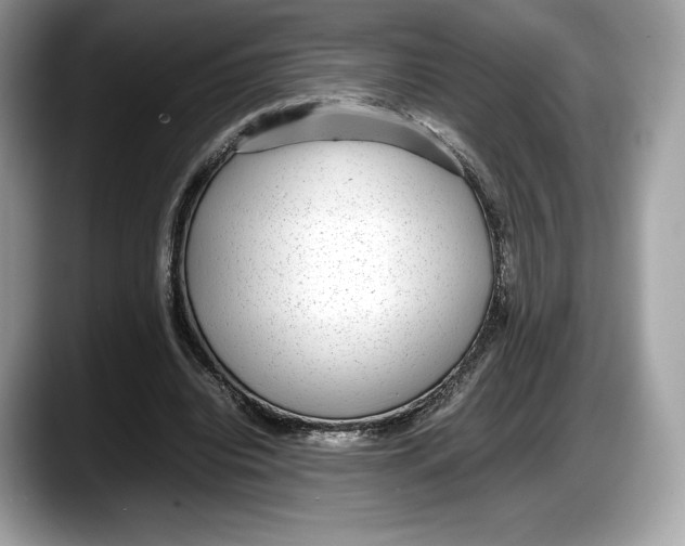 X0000087640440200705311329