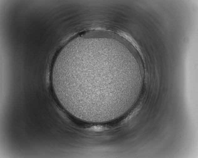 X0000087640441200705311329