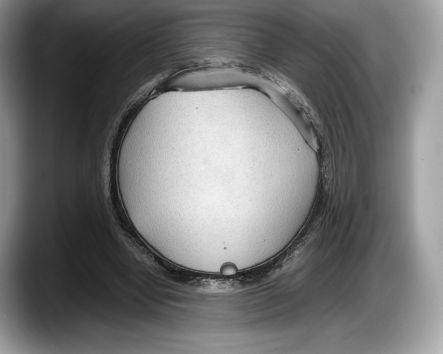 X0000087640442200705311329