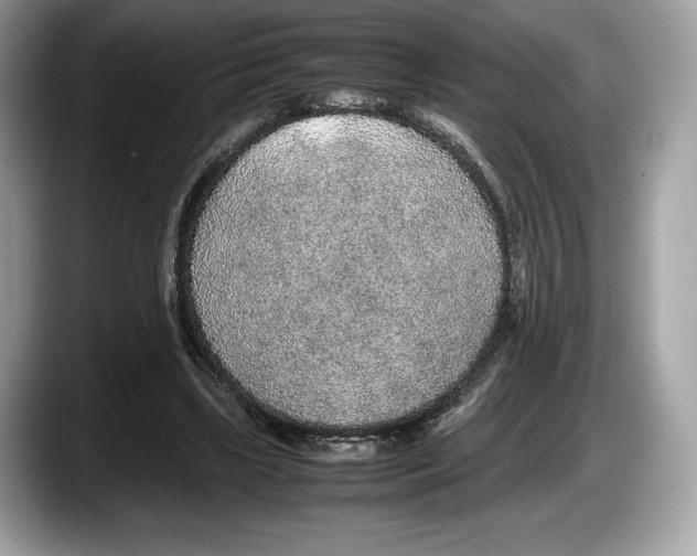 X0000087640443200705311329