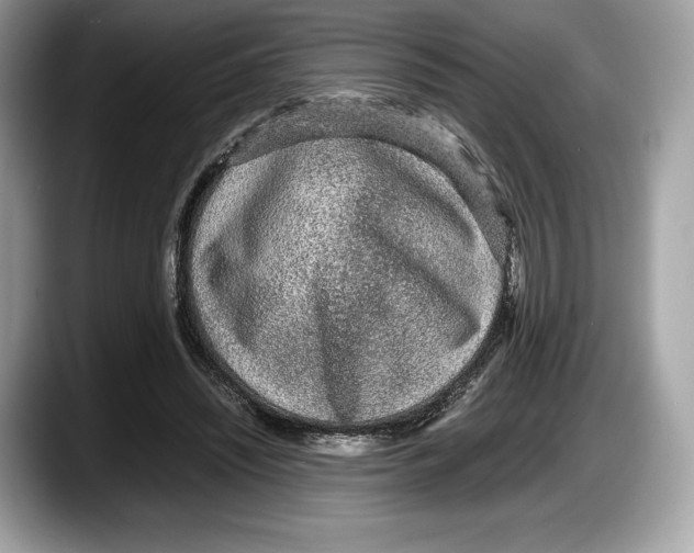 X0000087640444200705311329