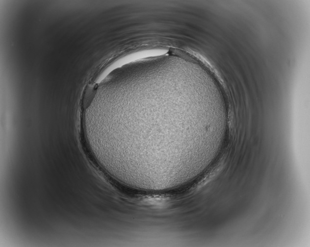 X0000087640445200705311329