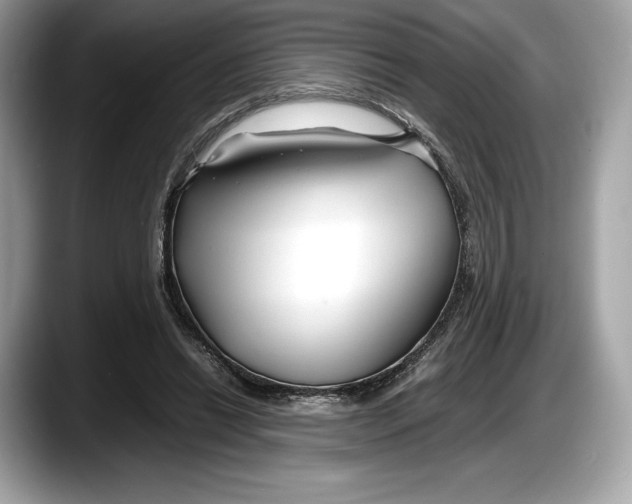 X0000087640446200705311329