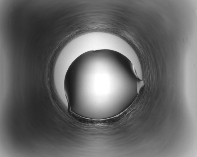 X0000087640448200705311329