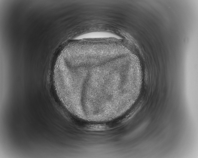 X0000087640449200705311329