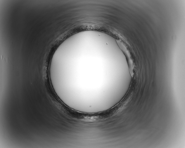 X0000087640450200705311329