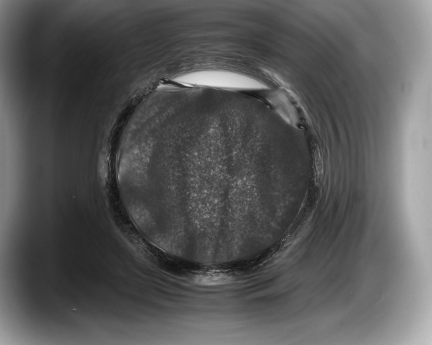 X0000087640451200705311329