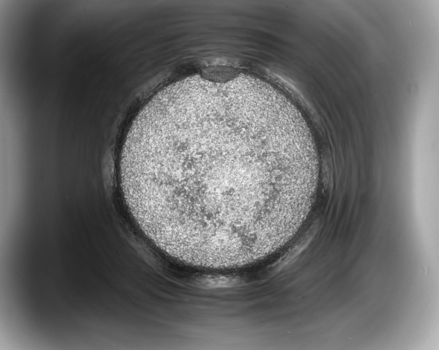 X0000087640453200705311330