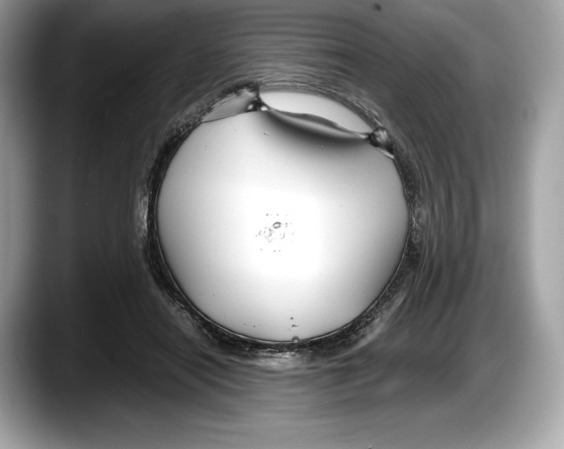 X0000087640454200705311330