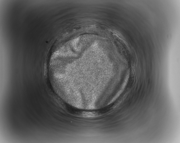 X0000087640457200705311330